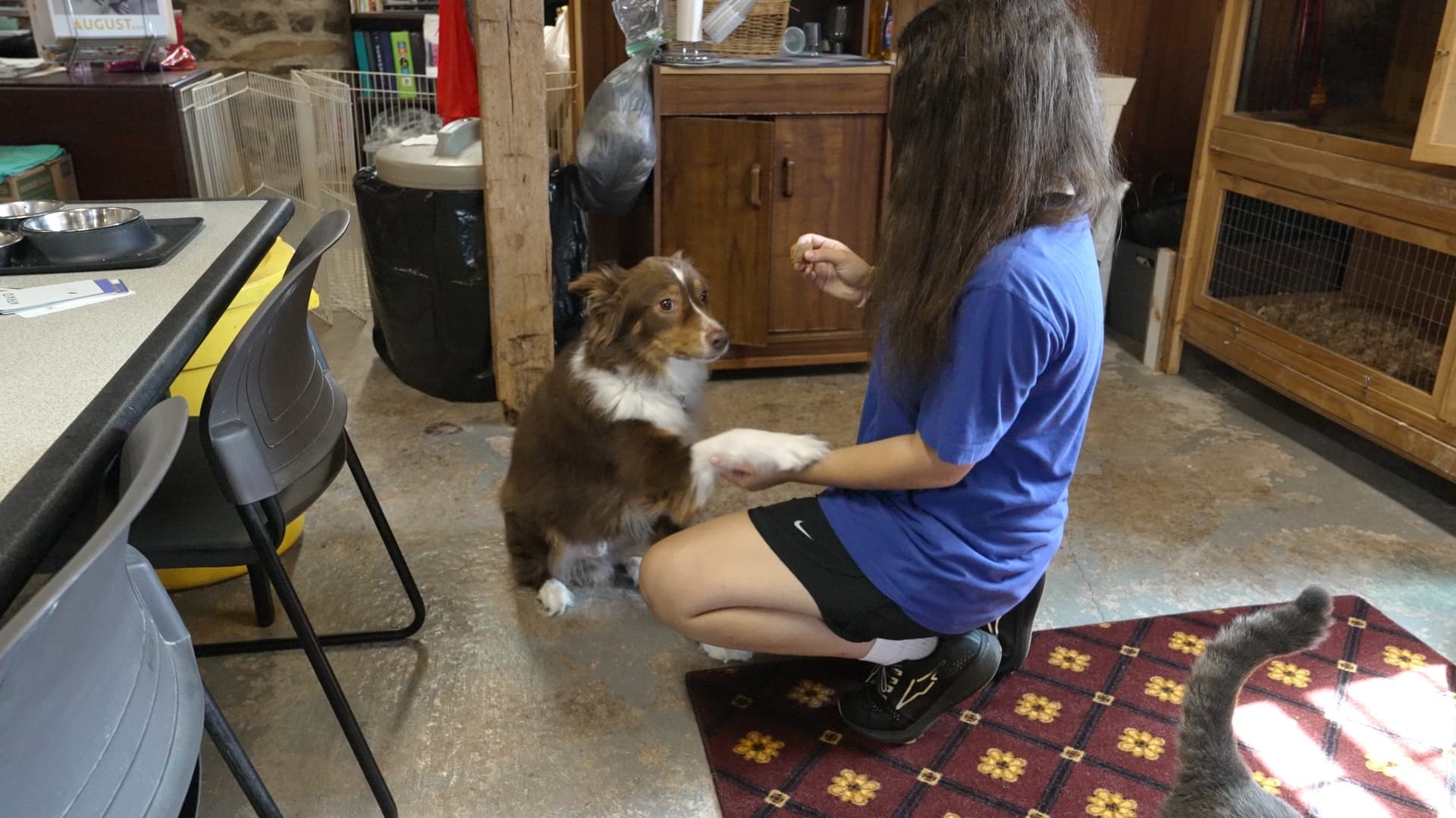 See How You Can Make an Impact